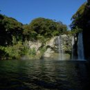 천지연 폭포 이미지