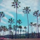 라호야(LA JOLLA) 이미지