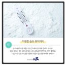 왕호 태권도 이미지