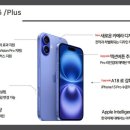 조은아이폰 이미지