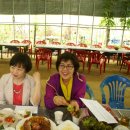 장군의땅 이미지