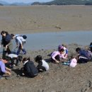 서산갯마을낙지 이미지