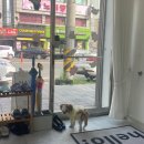 쥬르네일 이미지