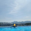 아쿠아필드 이미지