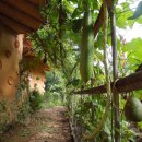 흙집풍경 이미지