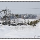 소성농장 이미지