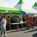 대진항(문어축제장) 이미지