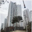일성부동산중개 이미지