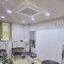 그루밍리본 이미지