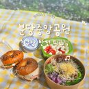 아주 게이트볼장 | 분당중앙공원 피크닉 장소 추천🌸 잔디광장 위치 + 꿀팁 정리