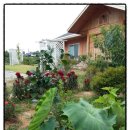 청해농원 이미지