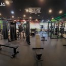 예스비피트니스 이미지