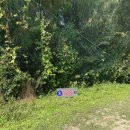 삼례골프랜드 이미지