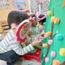 꽃뿐이네 이미지