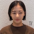유이애