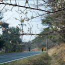 토영이야~길(2코스-미륵도길) 이미지