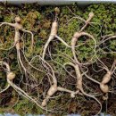 제천시민회관 이미지