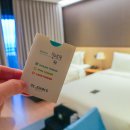 솔숲하우스 | 강릉 세인트존스호텔 예약 객실 라운지 강문해변 강릉호텔 추천