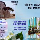 송악읍사무소 앞 이미지