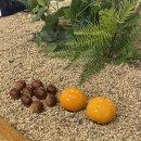 카페미르 | 공주 의당면 분위기 좋은 카페 카페 미르 후기 공주 보늬밤 디저트가 있는 카페 미르