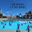 경주 물놀이장 추천 강동 워터파크 다녀온 후기 ( 구 블루원 )