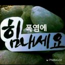 07월24일(화) 신문을 통해 알게된 이야기들 이미지