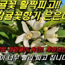 다연농장 이미지