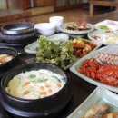 교리여주쌀밥 티스토리