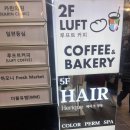 명동역미용실 헤리크명동 프랑크프로보명동 두피점검 및 헤드스파 찐후기