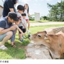 예촌농원 이미지