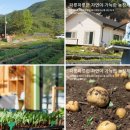 메아리자연농장
