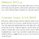 하빈애견농장 이미지