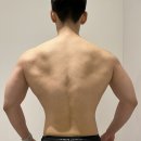줌피시 이미지