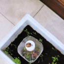 달팽이어린이공원 이미지