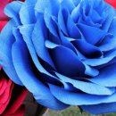 조물락공작소 이미지