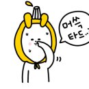코인노래스튜디오 이미지