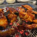 빨간꼼장어 이미지