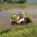 마을농장 이미지