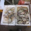 죽도어시장 이미지