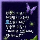 안락1동-3 이미지