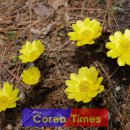 마중생태 이미지