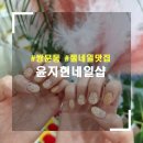 곰팅이네일 이미지
