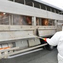 최창호농장 이미지