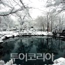 태백가족