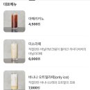 까사디차차 이미지