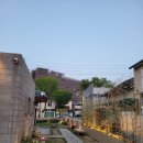 우화정육점