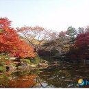 칠백의총 이미지