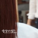 위드제이엘 이미지