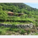 사랑농장 이미지