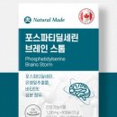브레인스톰 이미지